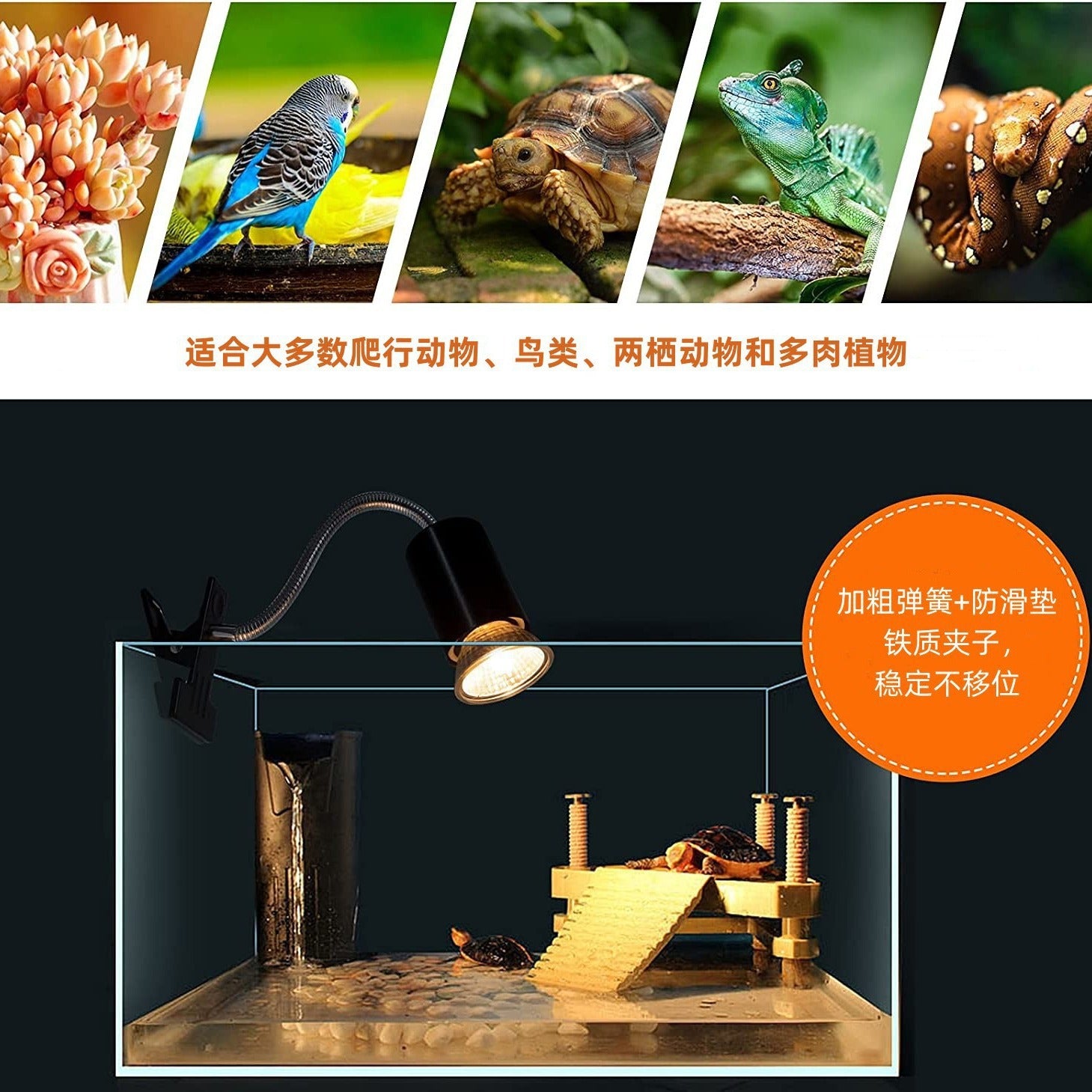 Turtle lizard, reptile sunbathing lamp, climbing pet UVB lamp, automatic timer switch, little sun, pet UVA calcium supplement heating