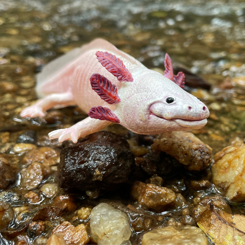 Axolotl Toy